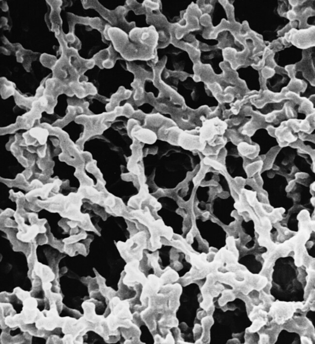 MilliporeSigma MF-Millipore Mixed Cellul